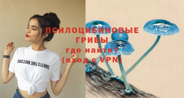 спиды Арсеньев