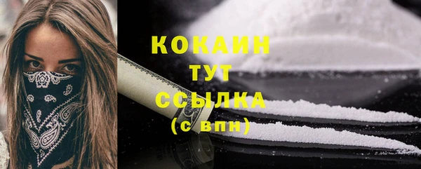 индика Абаза