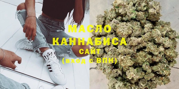 индика Абаза