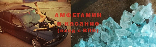 индика Абаза