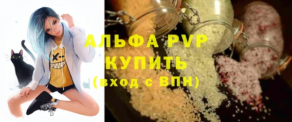 индика Абаза