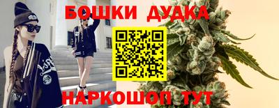 гидропоника Пугачёв