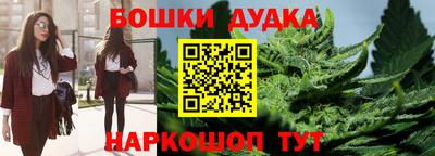 гидропоника Пугачёв