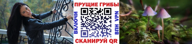 KRAKEN   Ухта  Псилоцибиновые грибы мухоморы  цены  
