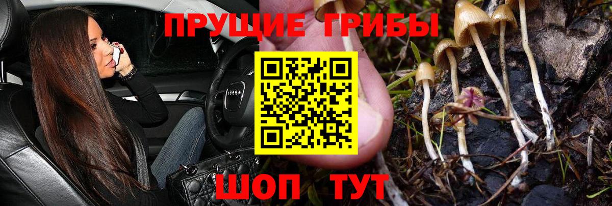Ухта  Галлюциногенные грибы Psilocybine cubensis  Вход с VPN  Галлюциногенные грибы MAGIC MUSHROOMS 